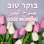 Good Morning in Hebrew, Arabic and English