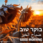 Good Morning in Hebrew, Arabic and English