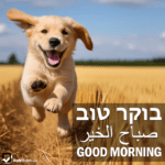 Good Morning in Hebrew, Arabic and English