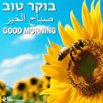 Good Morning in Hebrew, Arabic and English